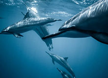 云开体育：开启智慧运动新时代